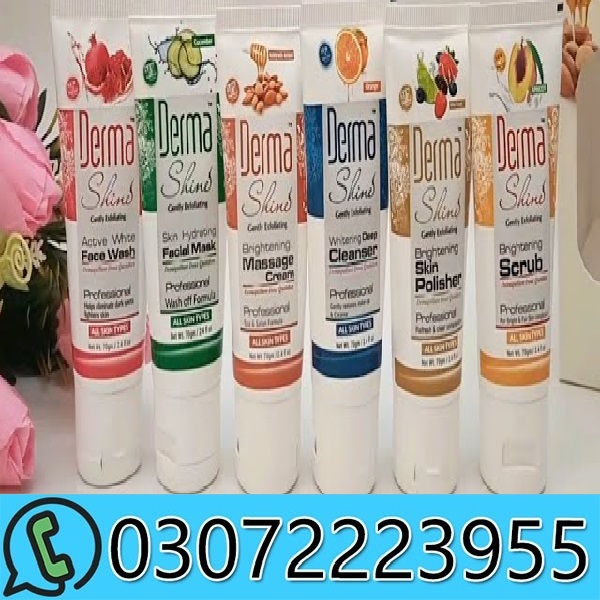 Derma Shine Facial Fruit Kit in Pakistan